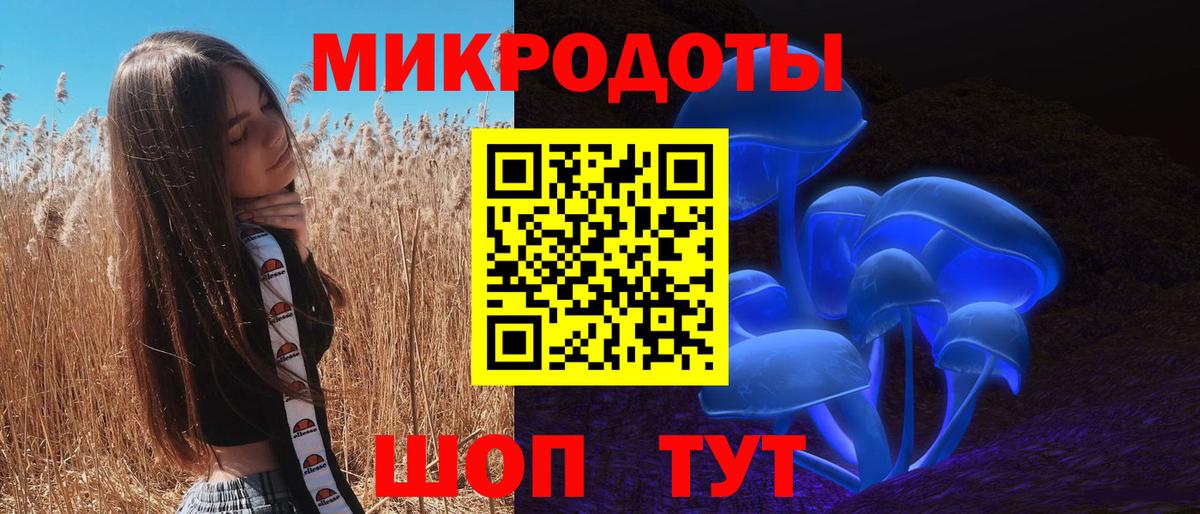 Псилоцибиновые грибы Psilocybine cubensis Янаул