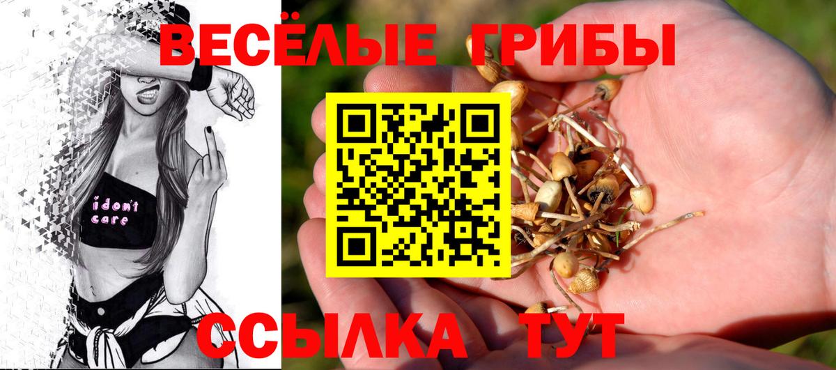 купить   Псилоцибиновые грибы мицелий  Янаул  Вход с VPN  Галлюциногенные грибы Psilocybe 